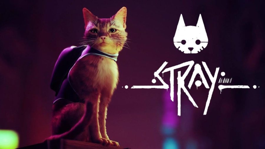 New Game Stray(s) Into Dystopia